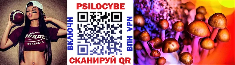 mega маркетплейс  Новое Девяткино  Псилоцибиновые грибы MAGIC MUSHROOMS 